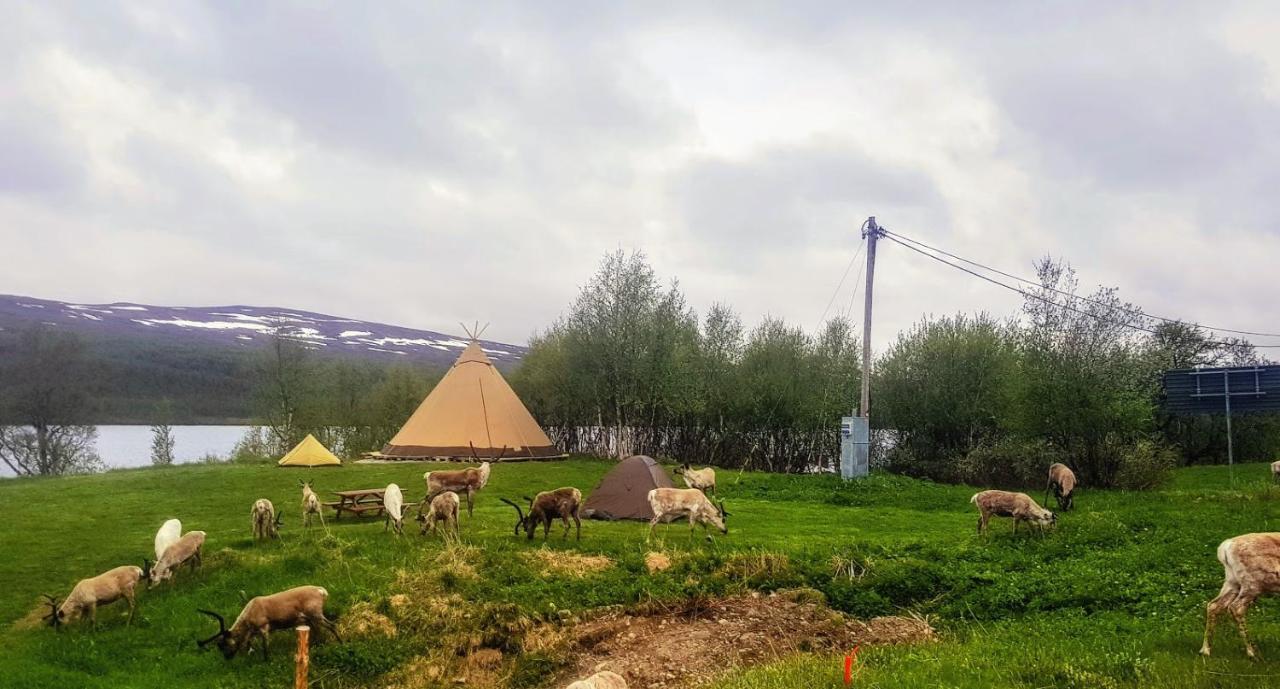 Fjallnaes Camping & Lodges Ostra Malmagen Екстер'єр фото